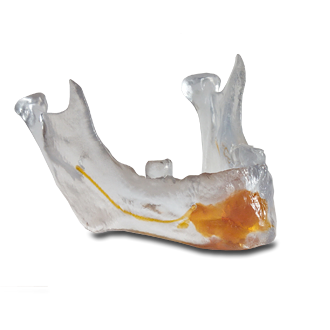VisiJet® SL Clear